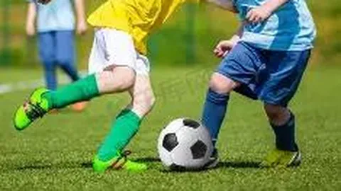 米兰体育 产品 090159 v5l