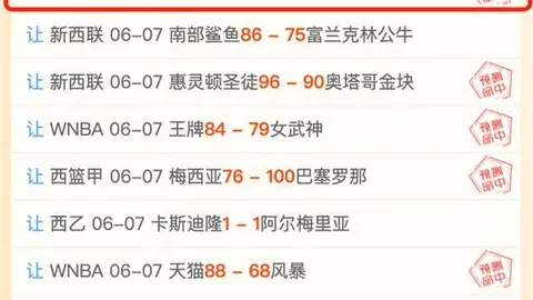 康涅狄克太阳对决多伦多节奏：关键数据深度剖析终极指南